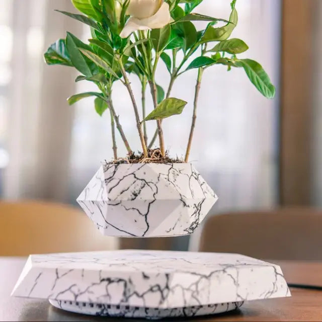 Rotating / Levitating Air Bonsai Flower Pot