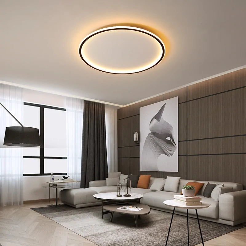 Simple Modern LED Chandelier Lights