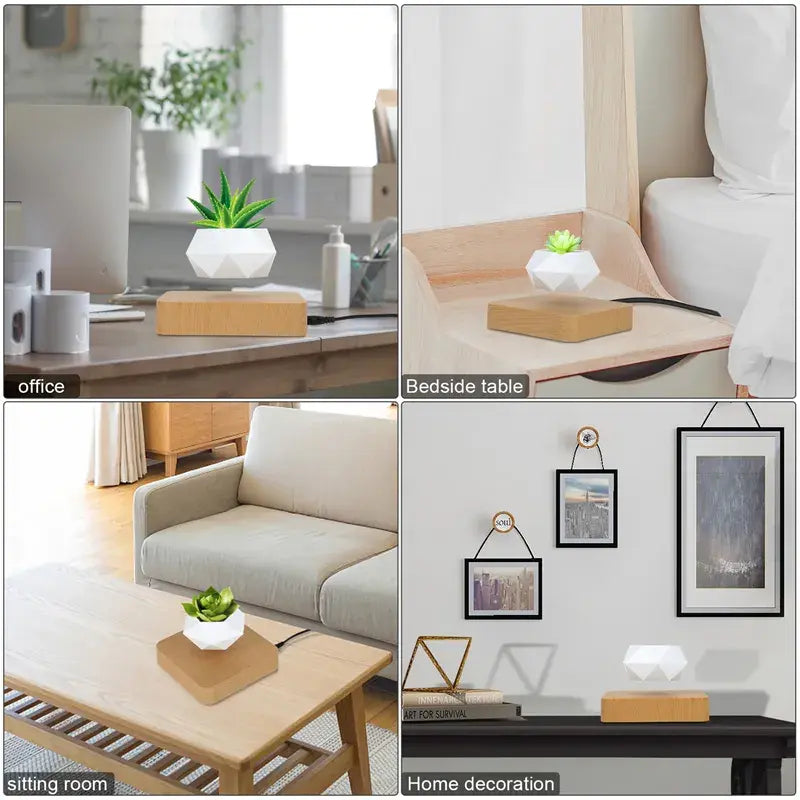 Levitating Potted Plant Home Desk Decor