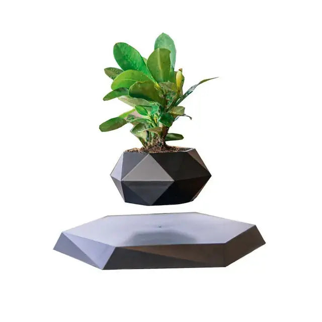 Levitating Potted Plant Home Desk Decor