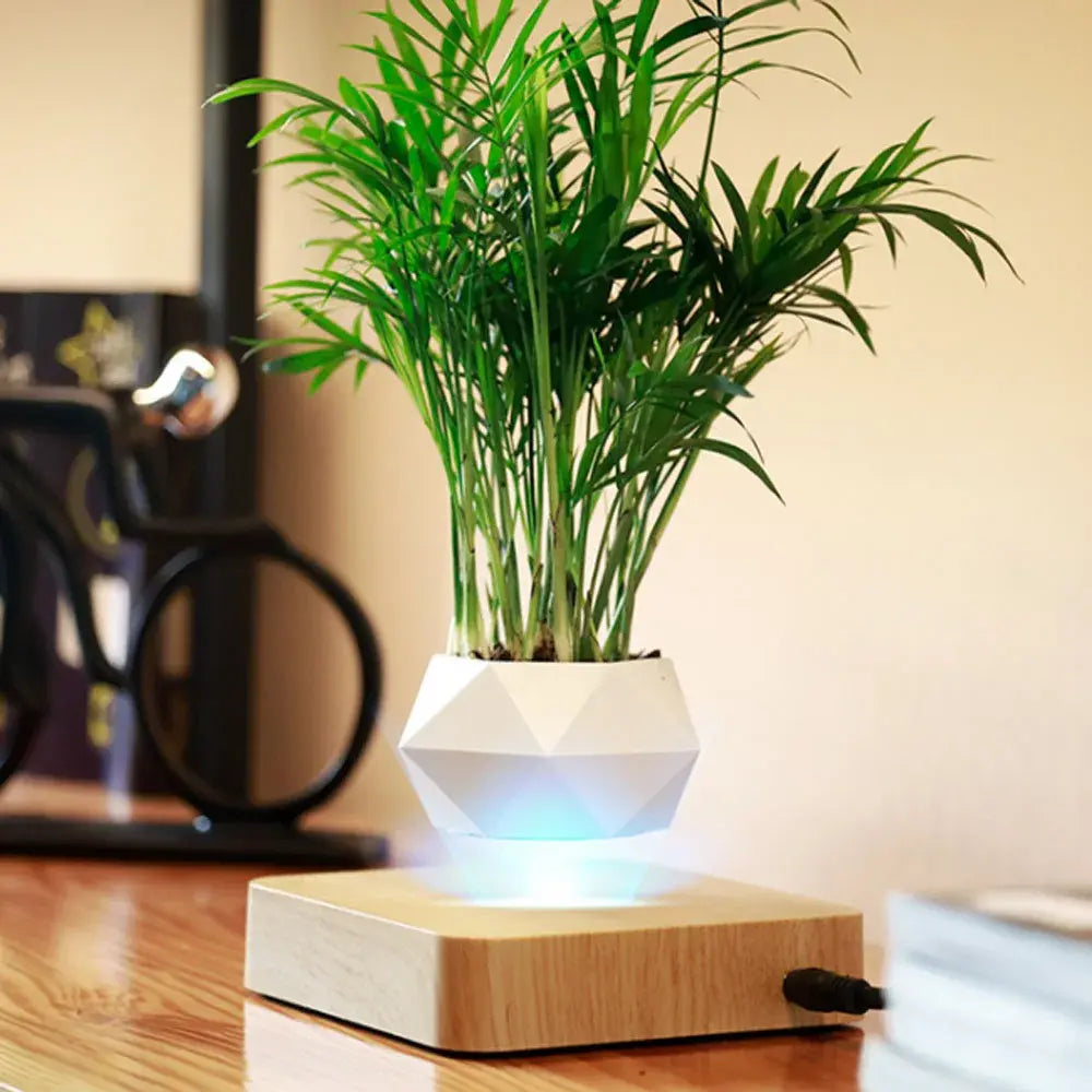 Rotating / Levitating Air Bonsai Flower Pot