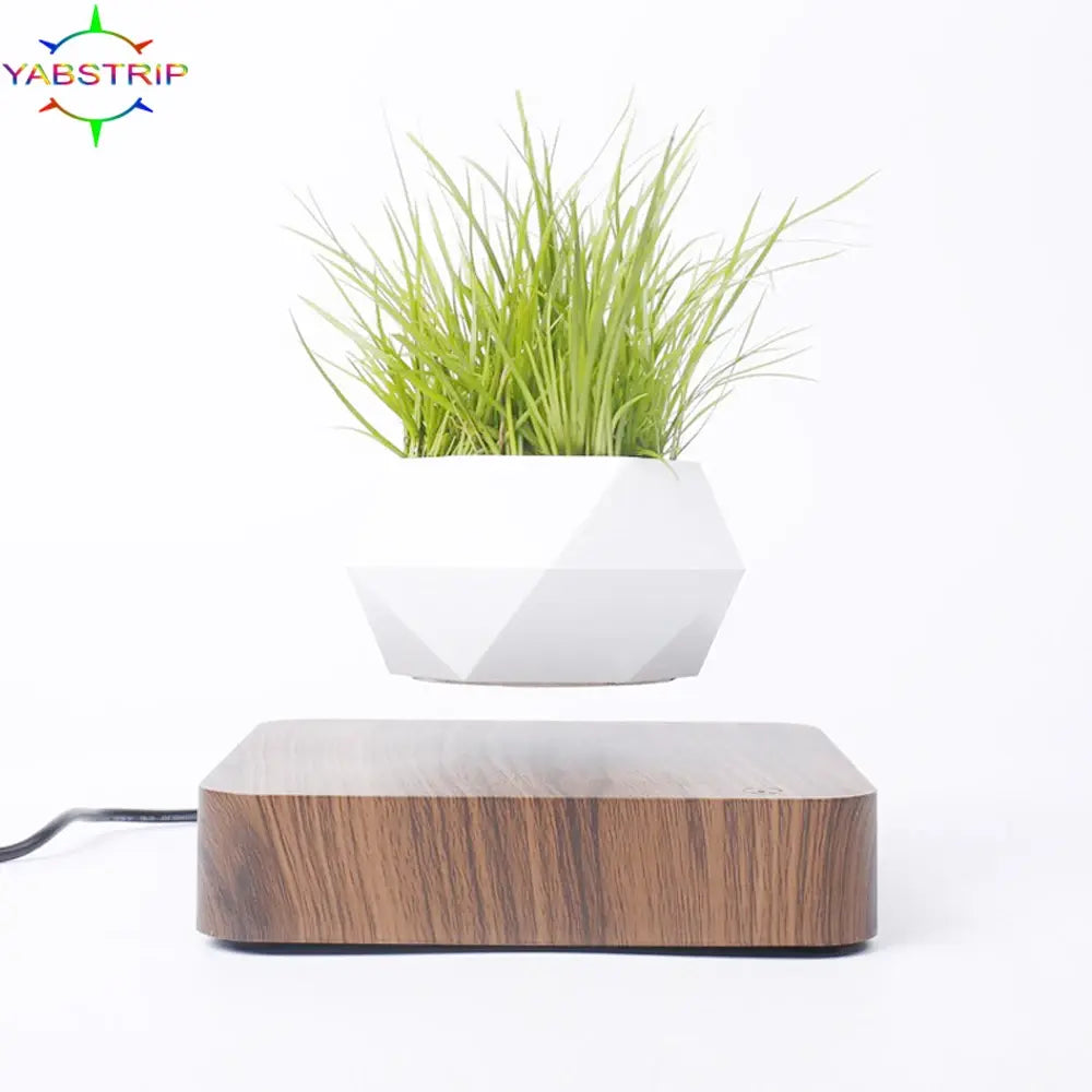 Levitating Potted Plant Home Desk Decor