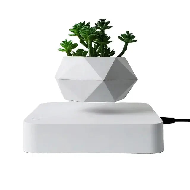 Levitating Potted Plant Home Desk Decor