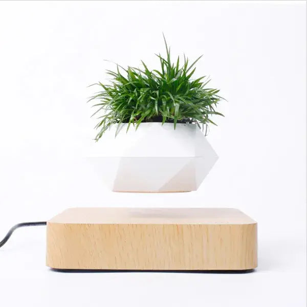 Levitating Potted Plant Home Desk Decor